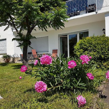 Ferienwohnung RAUSZEIT-ToRoNi Niedenstein Exterior foto