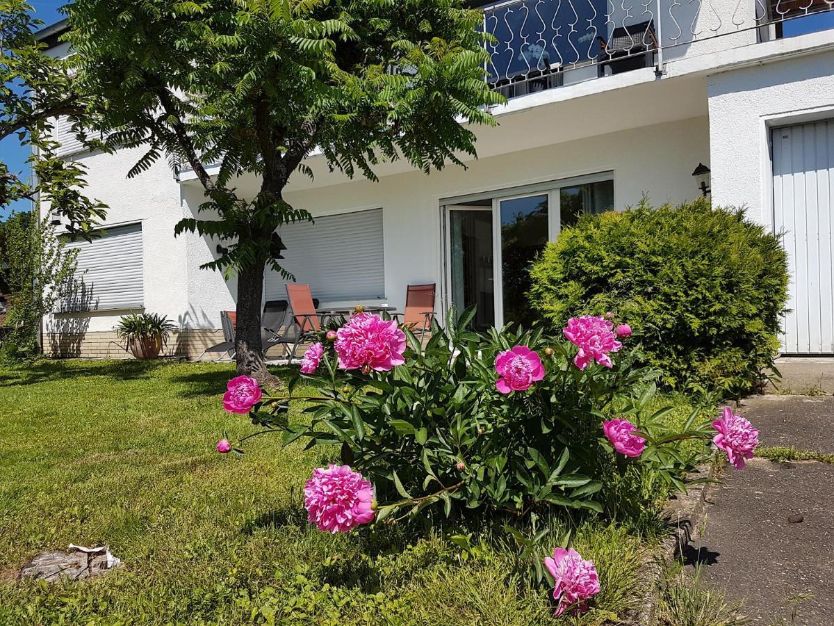 Ferienwohnung RAUSZEIT-ToRoNi Niedenstein Exterior foto